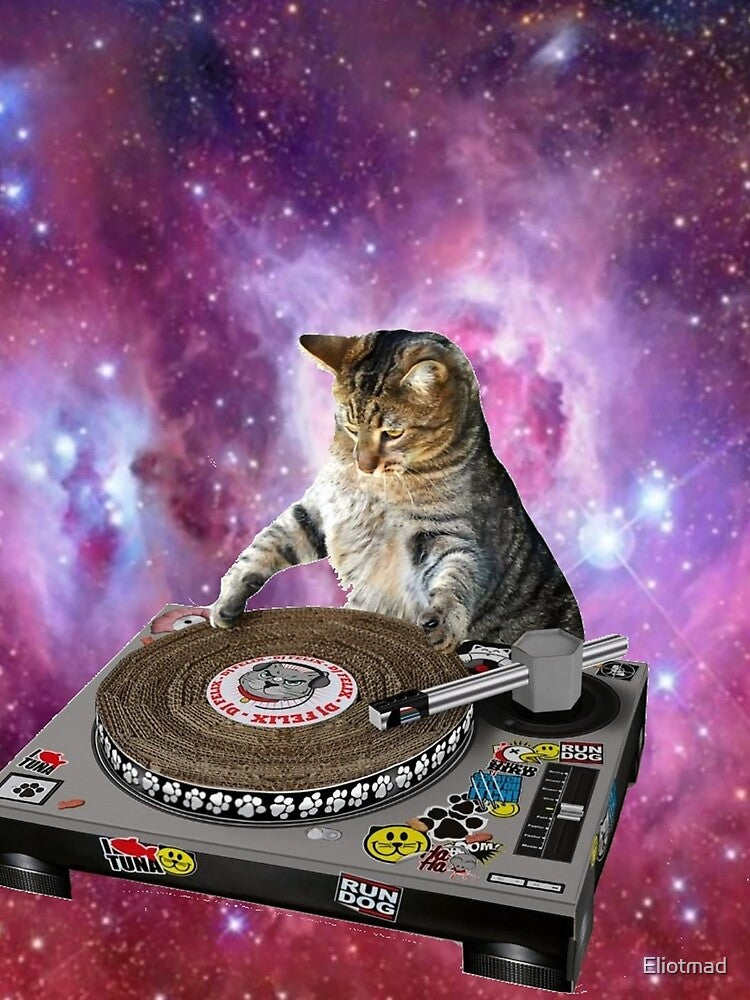 DJ Space Cat by Eliotmad