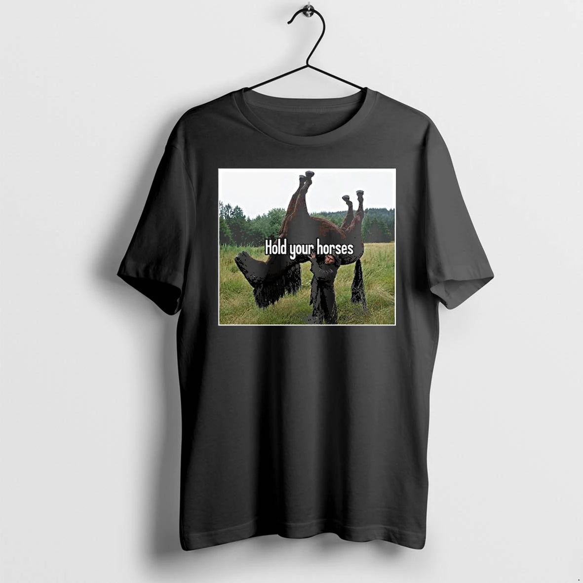 Hold Your Horses Funny Horse Humor Pun 0 Tshirts Sweater