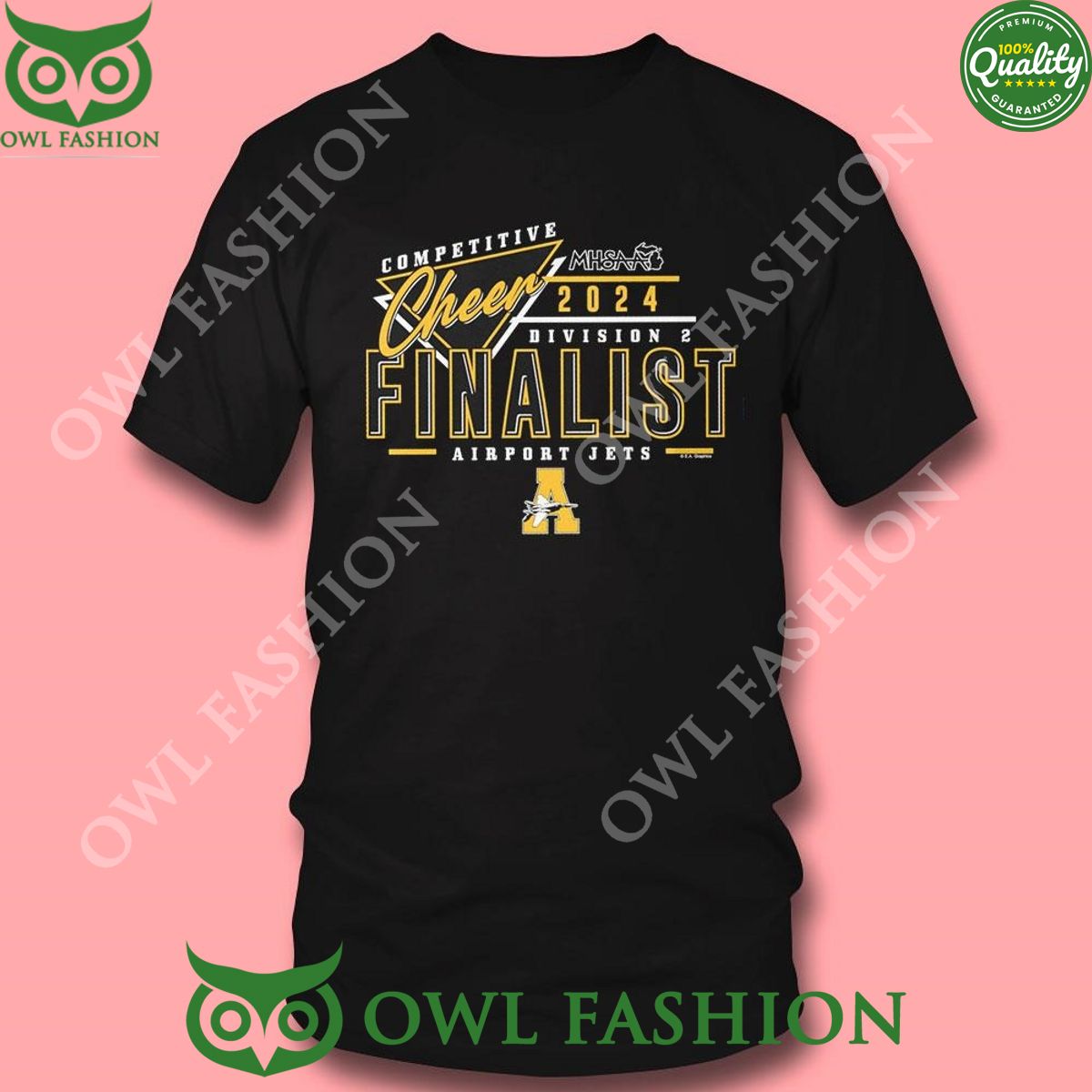 Mhsaa Competitive Cheer 2024 Division 2 Finalist Airport Jets Hoodie Shirt