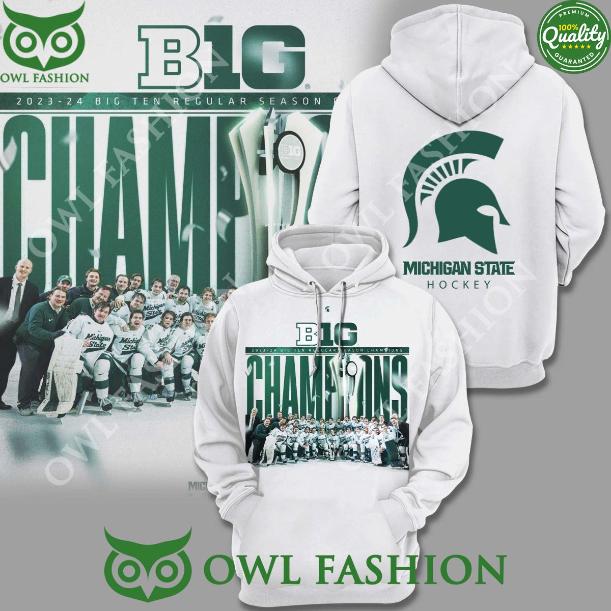Michigan State Spartans Hockey Big champions 2024 Big Ten Regular Season hoodie