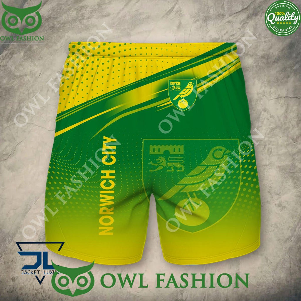 Norwich City Football Champion Premium 3D Hoodie