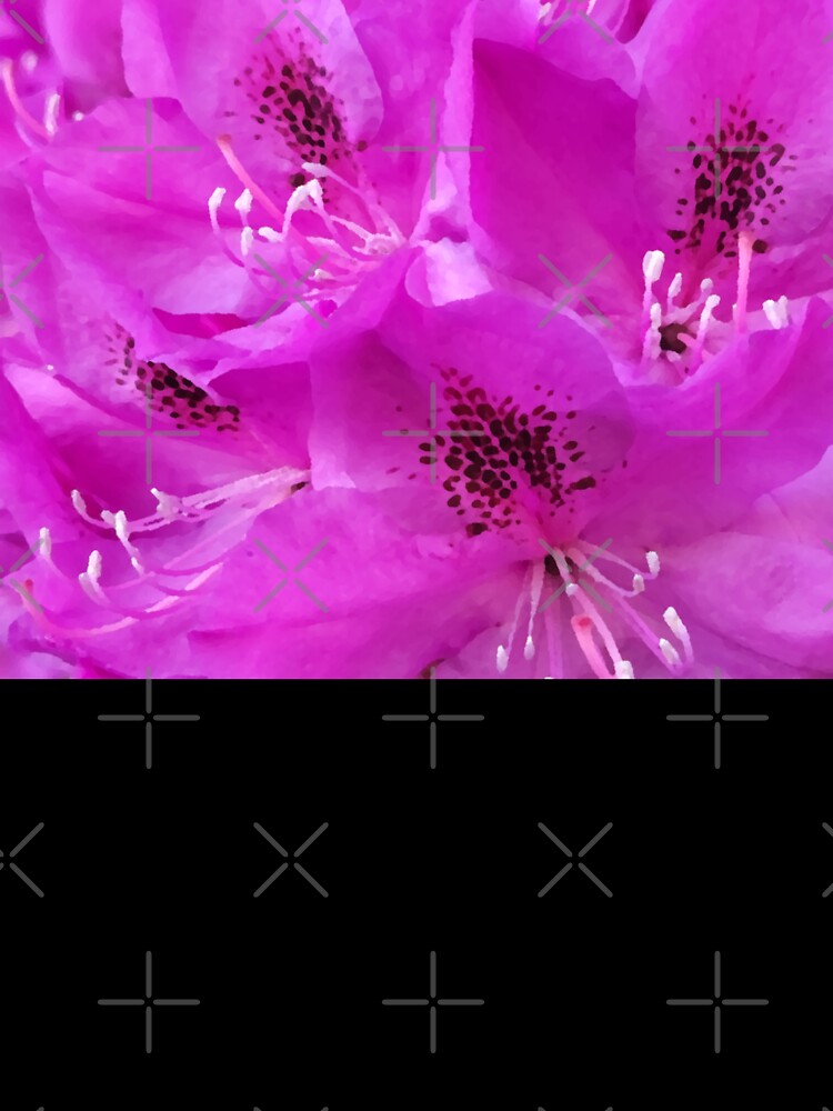 Rhododendron Dream 527 A by DreamDave3000