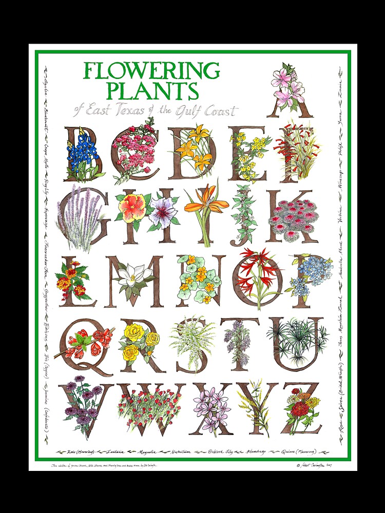 Flowering Plants A to Z Design by Bob Carington by artmythica