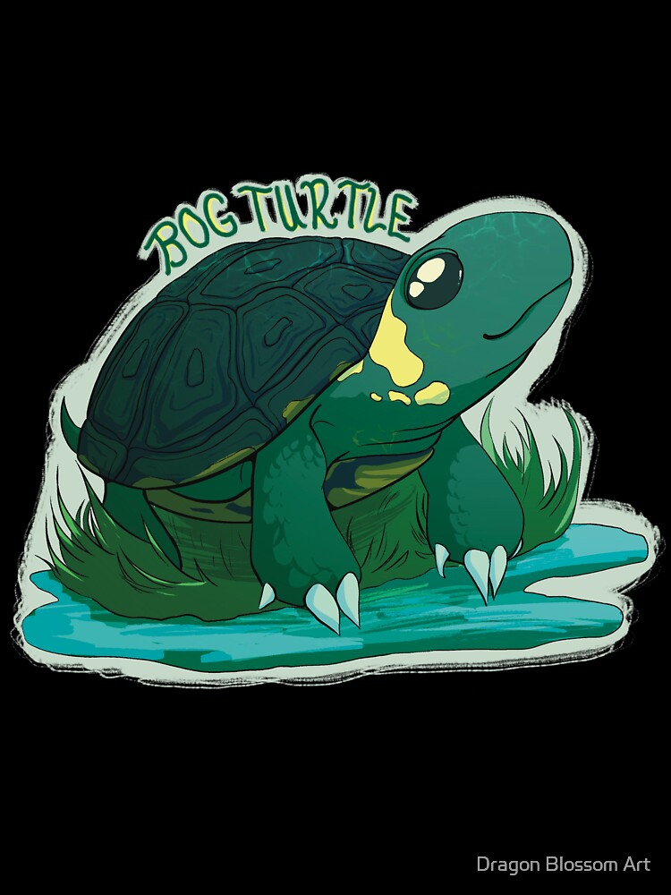Bog Turtle! (Endangered Species) by Dragon Blossom Art