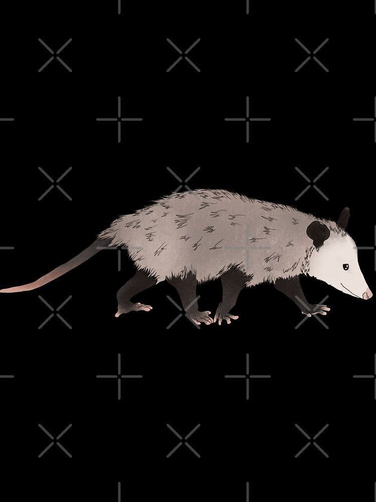 It’s a opossum by BlackSquirrelCC