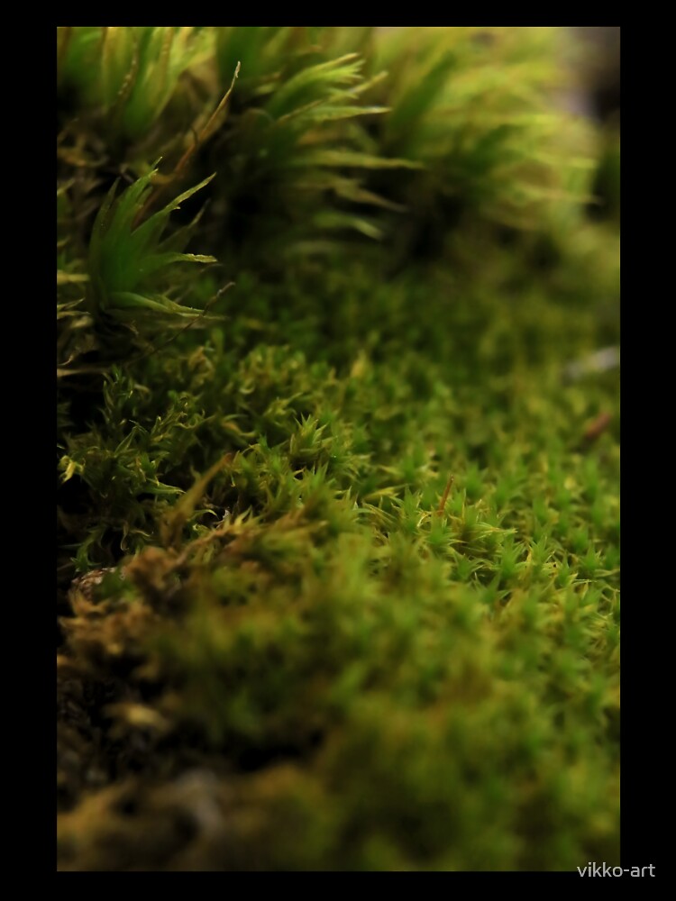 Forest Moss Texture Macro by vikko-art