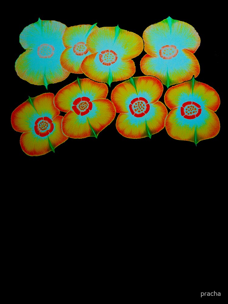 flower 29 by pracha
