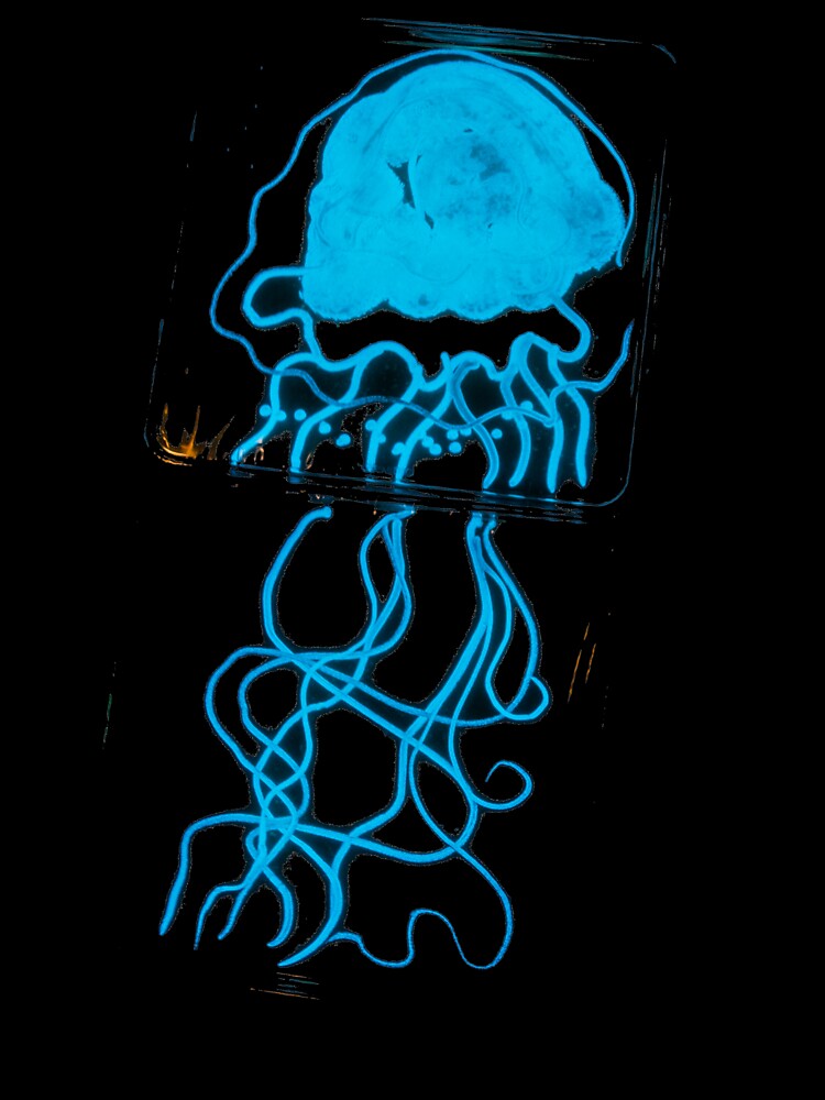 Glowing Bacterial Art - Jellyfish by SiouxsieW