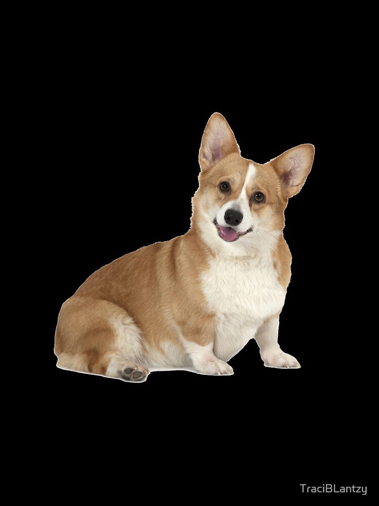 corgi puppy sticker by TraciBLantzy
