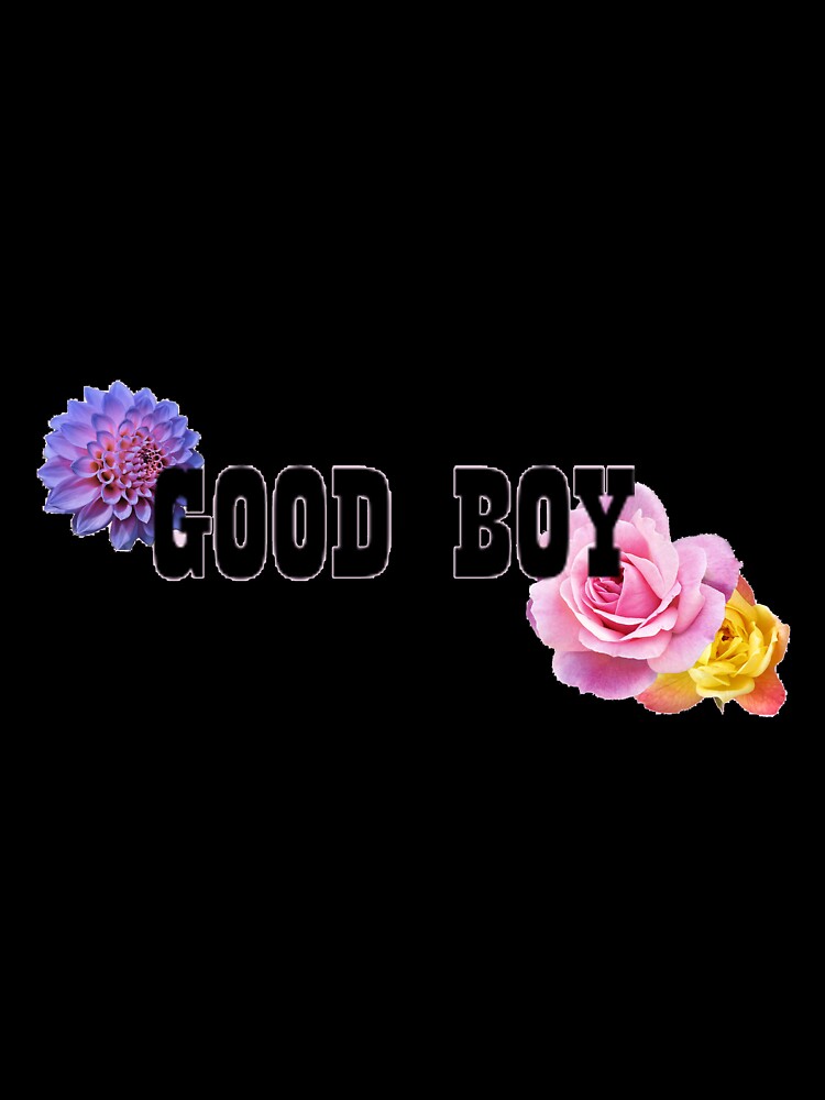 Good Boy (Transparent) by Hallagay