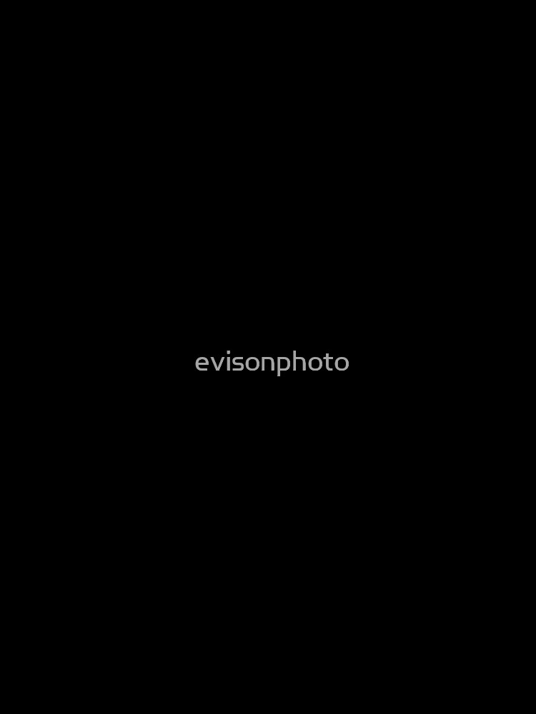 Social excuses by evisonphoto