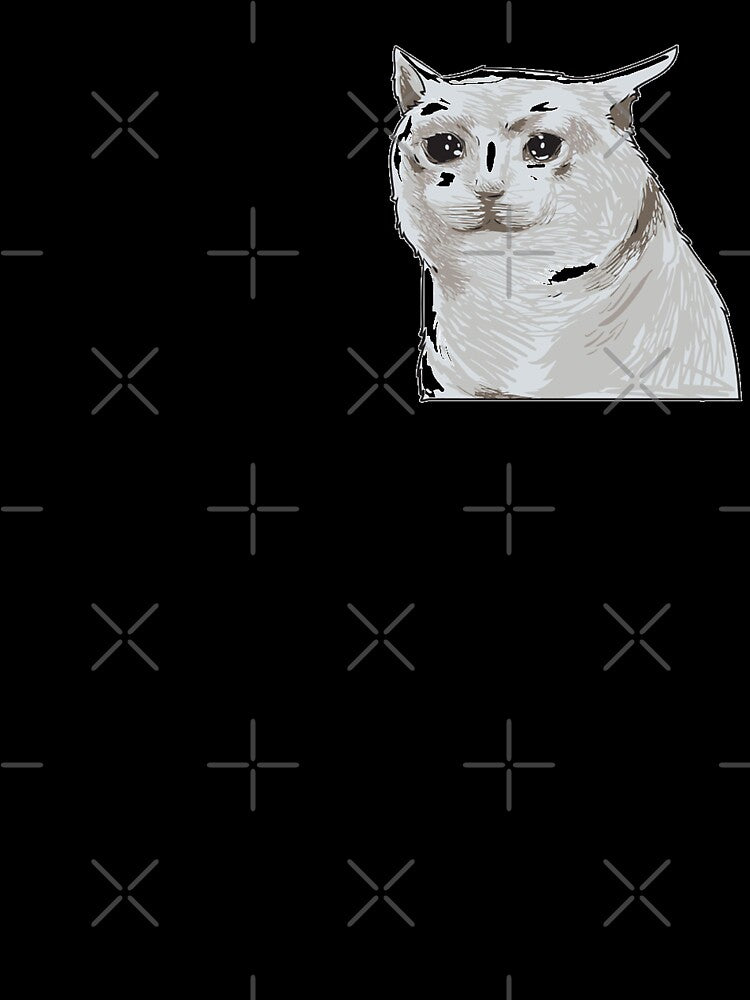 Sad Cat In Grunge cut cat meme by Manara  -Art