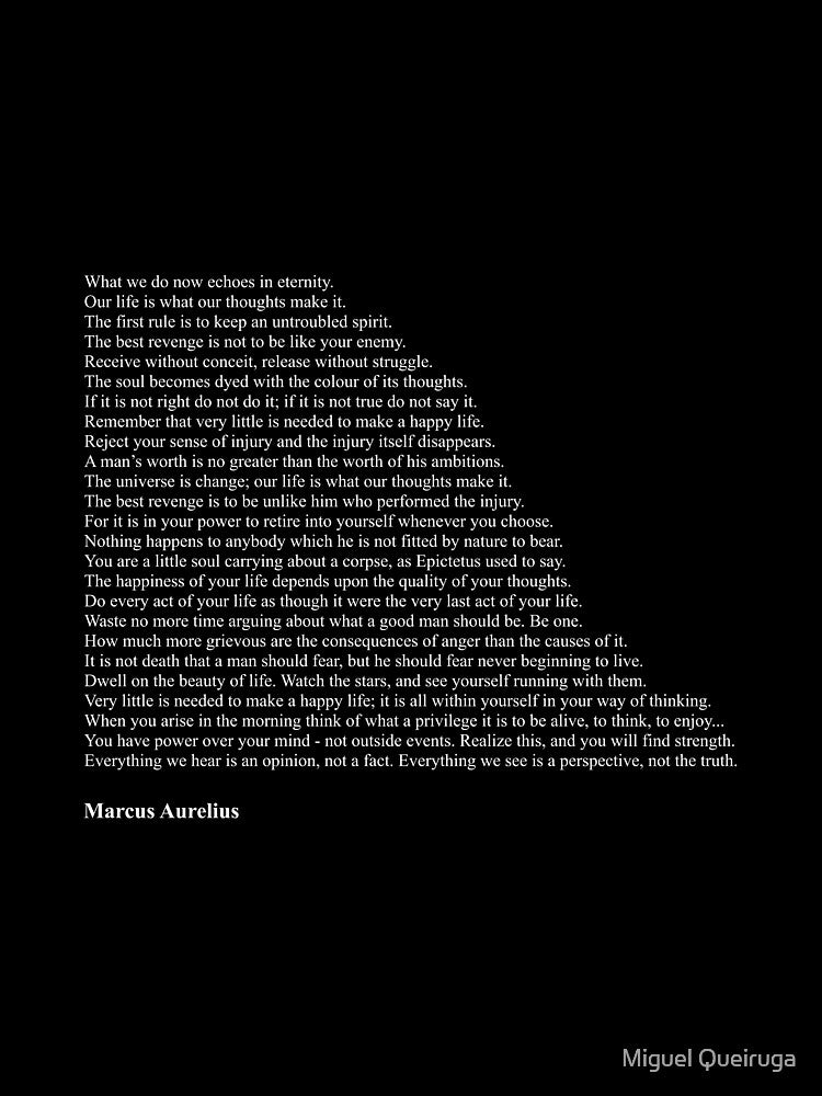 Marcus Aurelius Quotes by Miguel Queiruga