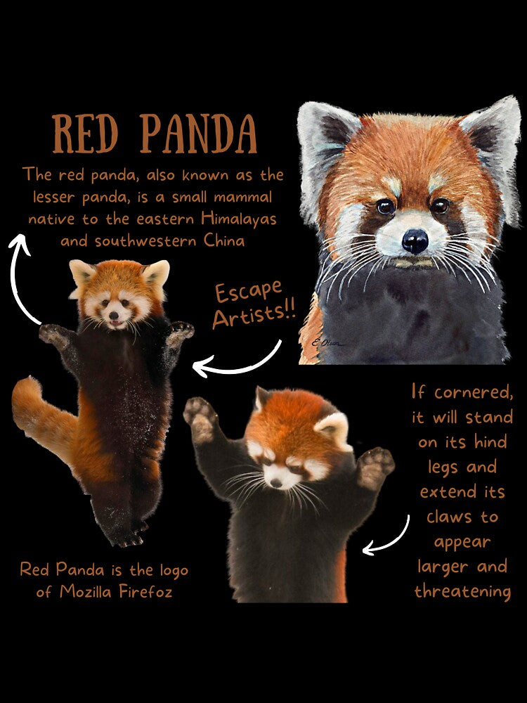 Red Panda Fun Facts by KyleNesas