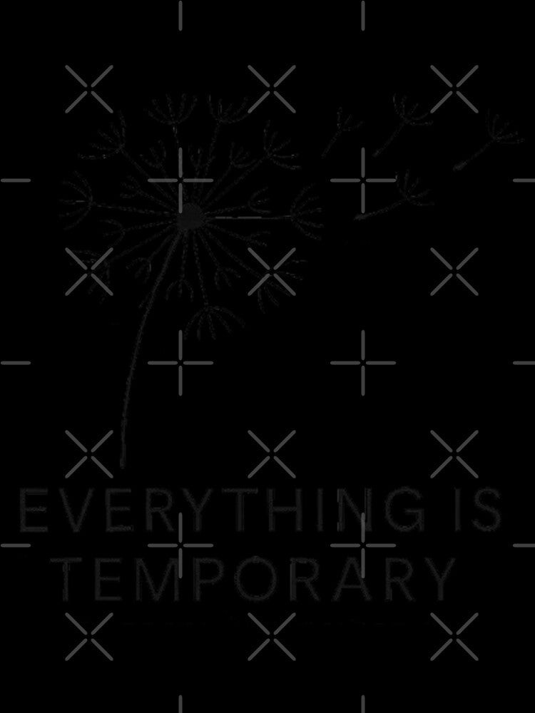 Everything Is Temporary by Random 00
