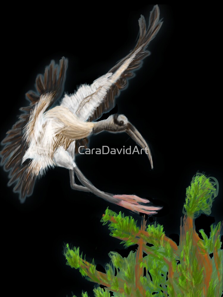 Landing by CaraDavidArt