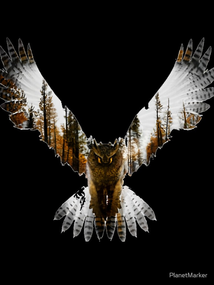 Wild Flying Owl by PlanetMarker