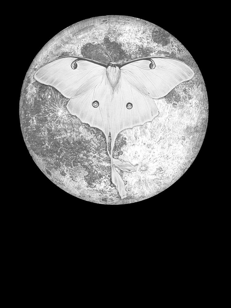 Moon Moth by ECMazur Art