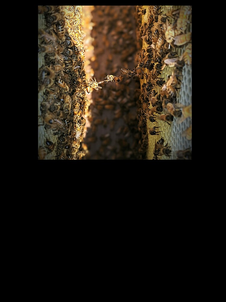 Honeybee Bridge by rosenathan06