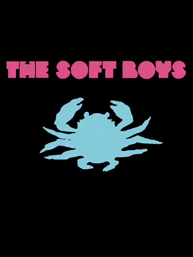The Soft Boys Classique by Sandro-Shop