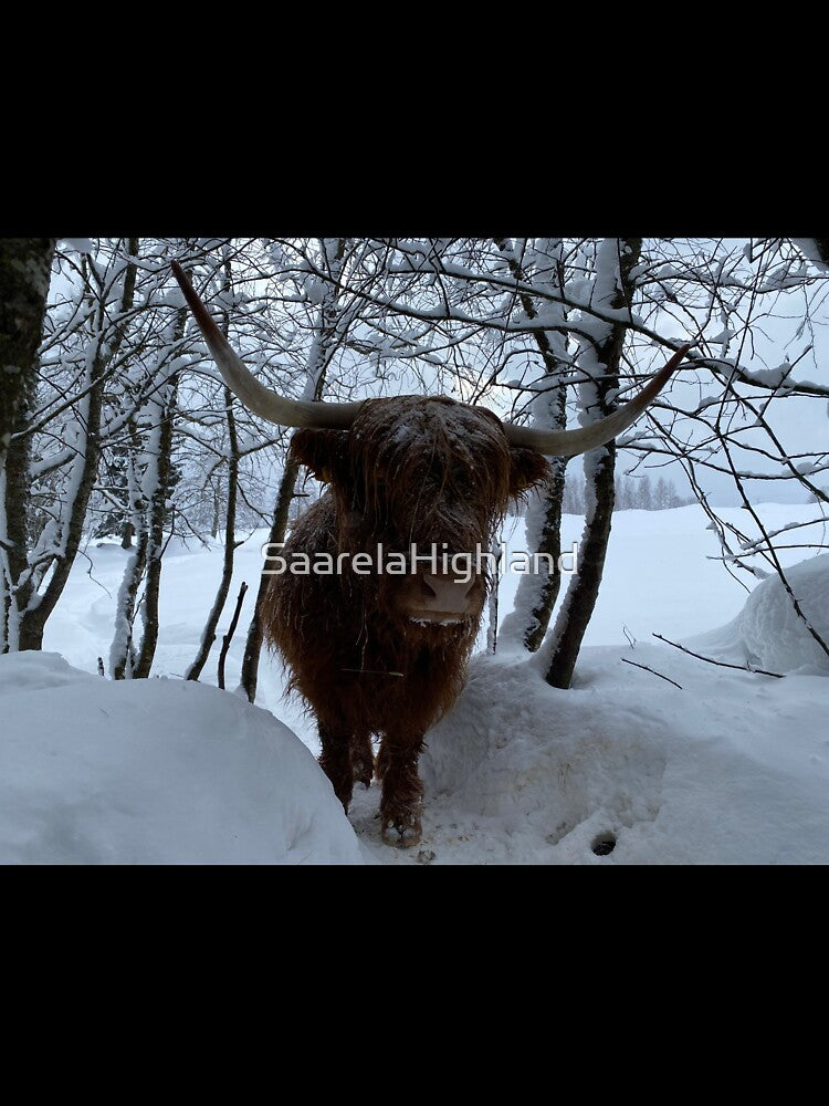 Scottish Highland Cattle Cow 3219 by SaarelaHighland