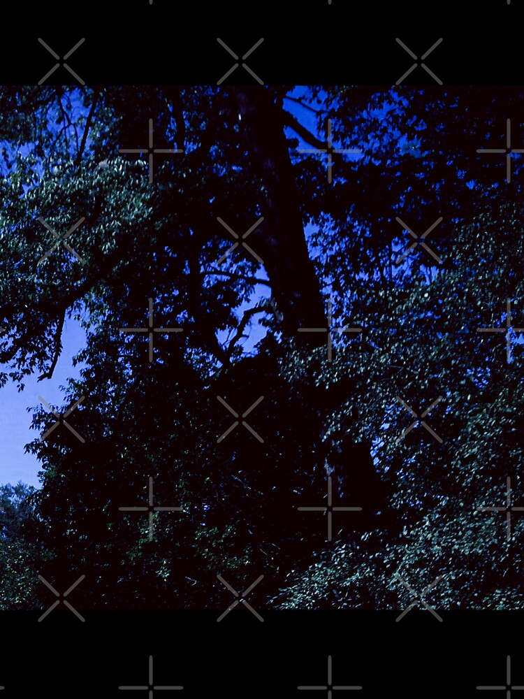 dazecore aesthetic blue sky dark by sielexis
