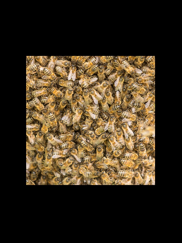Bees by Conservation Art Emporium
