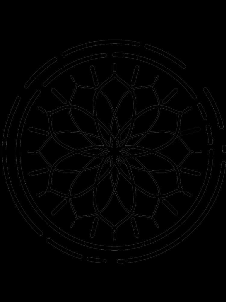 Geometry Flower Design T-Shirt for Men and Women by AllStarMerch