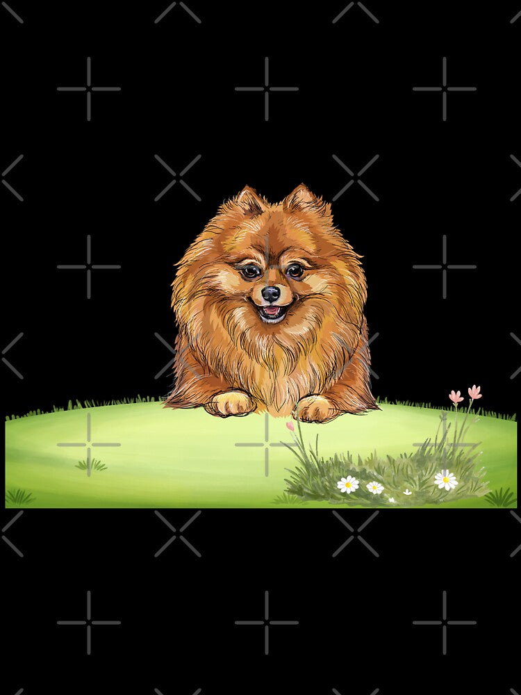 Pomeranian by Boummy