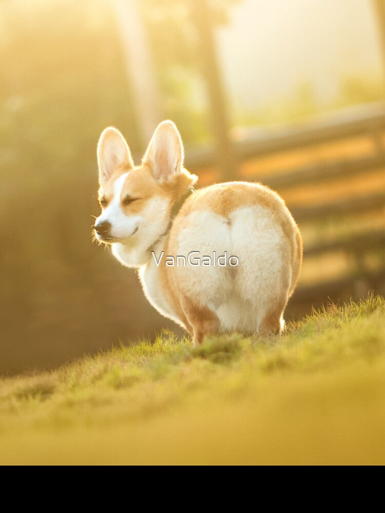 Cute Butt Pembroke Welsh Corgi Dog by VanGaldo