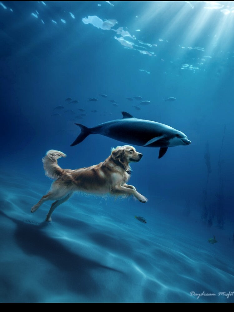 Animal Dreams: Dog and Dolphin by Kwandry