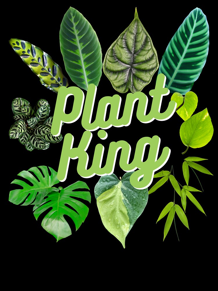 Plant King Houseplant Indoor Jungle Leaves House Plant by Vicious Malicious