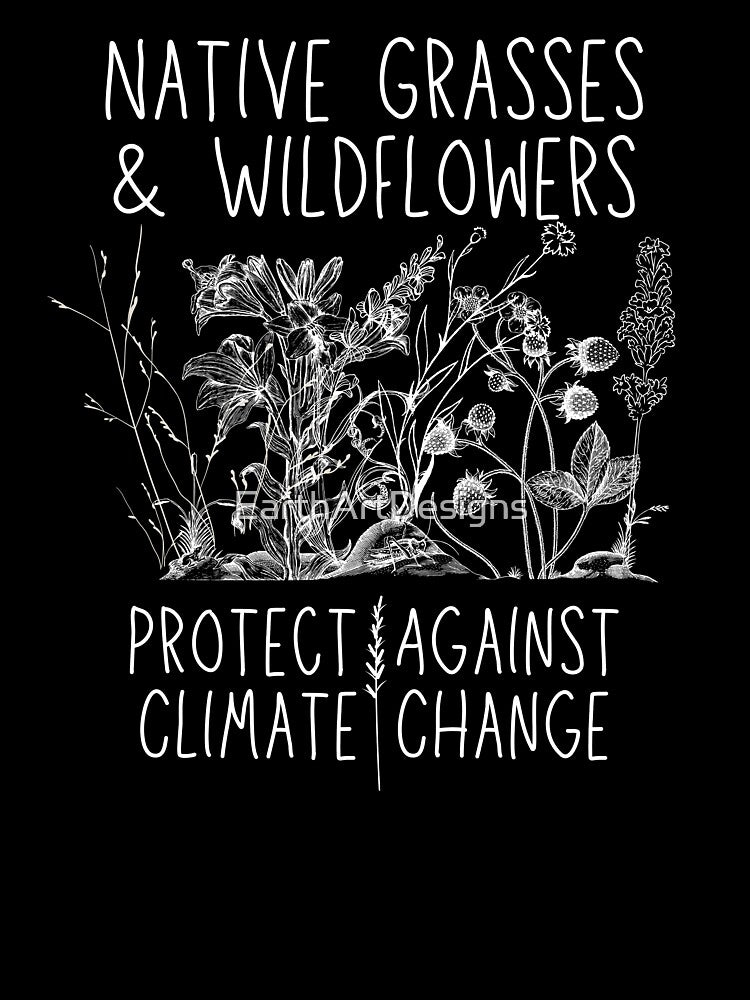 Native Grasses & Wildflowers Protect Against Climate Change Drawing Design by EarthArtDesigns