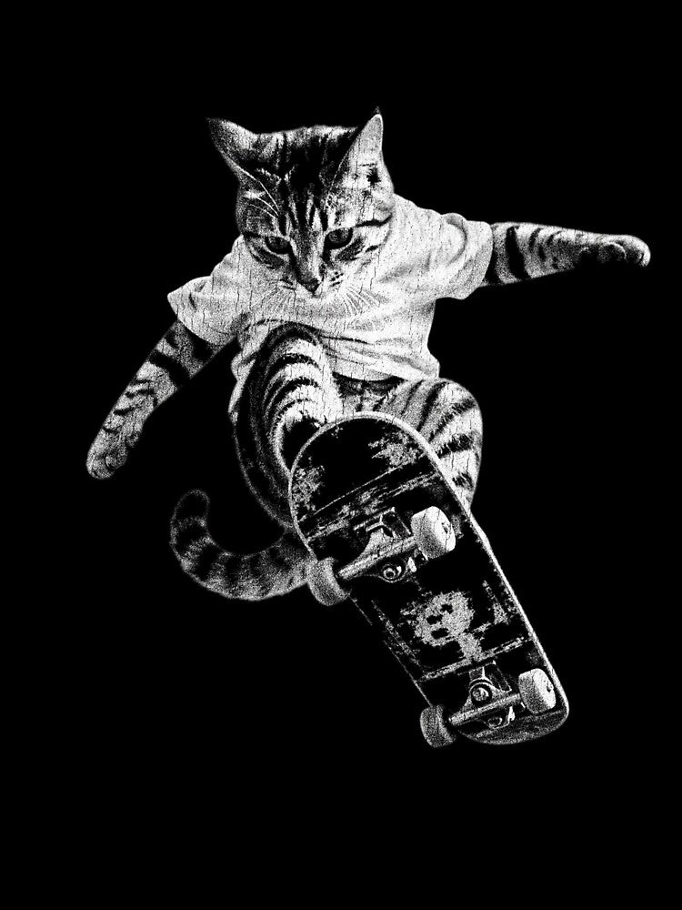 Retro Skateboarding Cat by Dream504