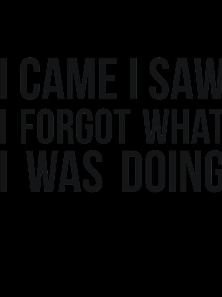 I Came I Saw I Forgot What I was Doing humor joke quote by  Srdjan Stanisic