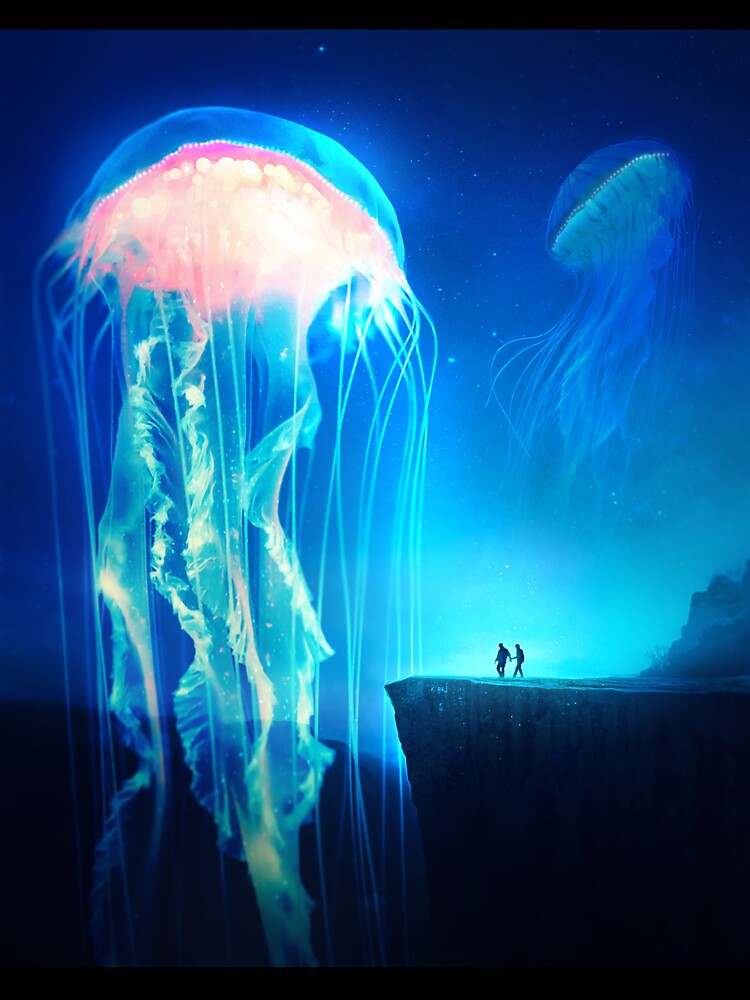 Jellyfish Canyon by vandervisuals