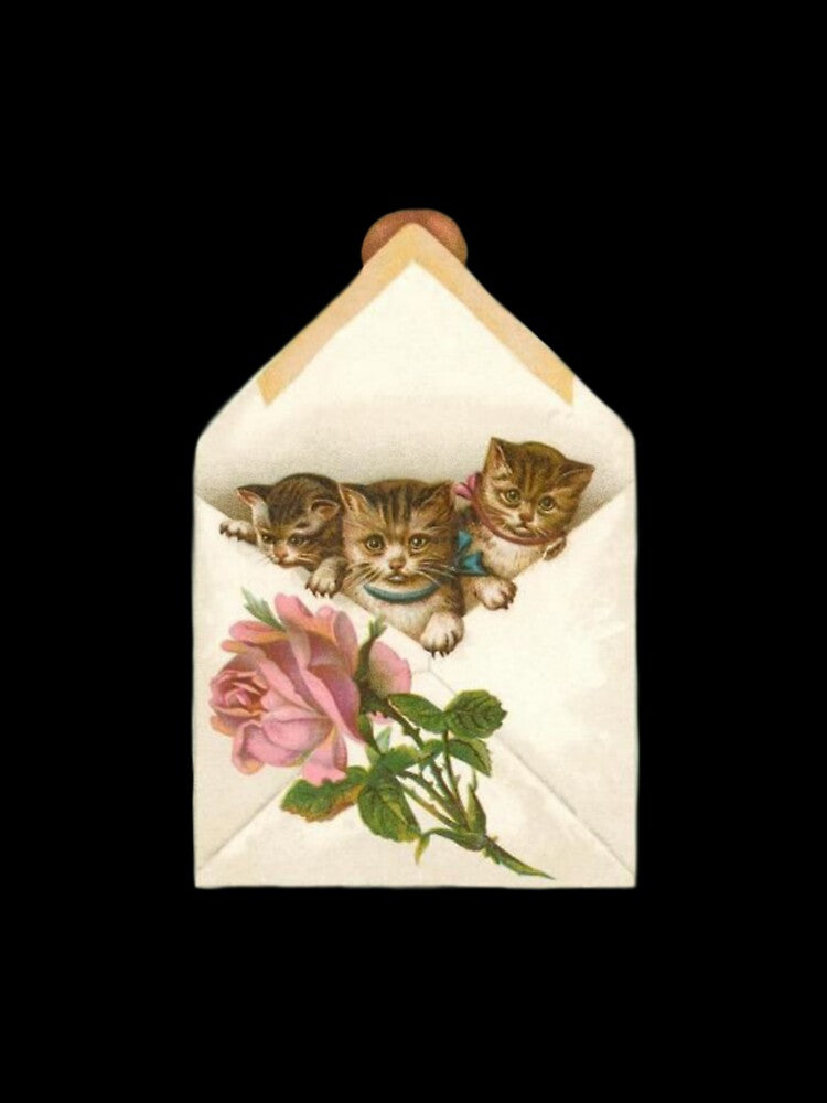 Coquette Vintage Cats by Pixiedrop