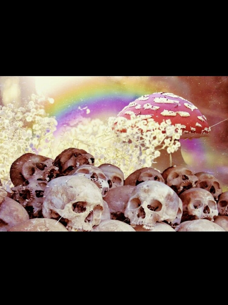 baby's breath skulls by TheSadInsect