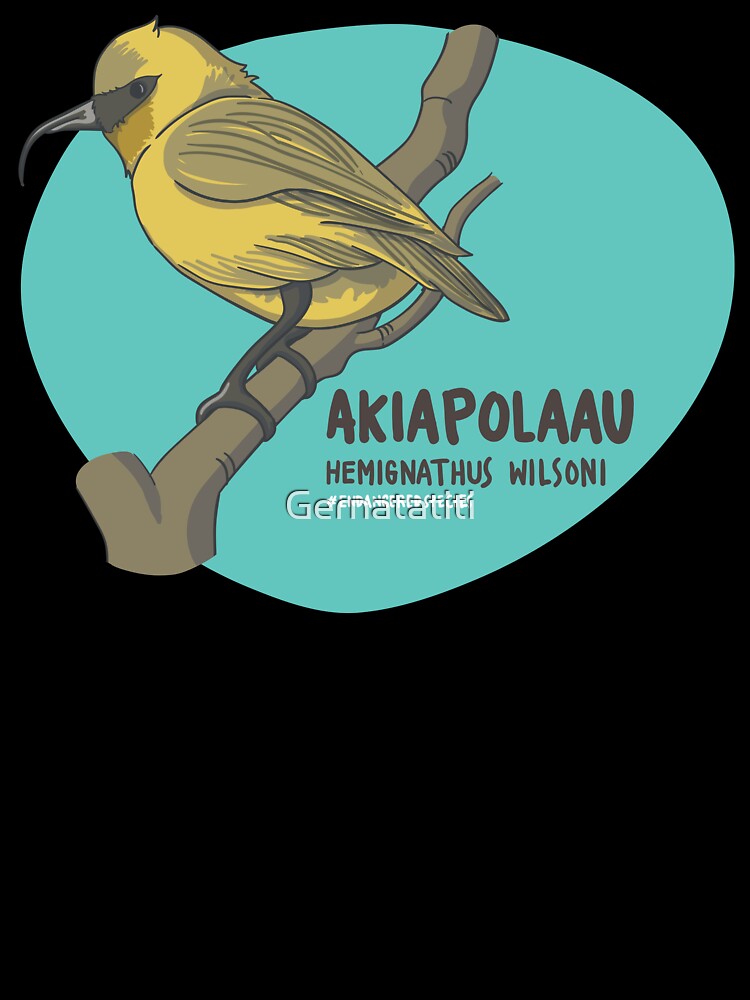 The Akiapolaau by Gernatatiti