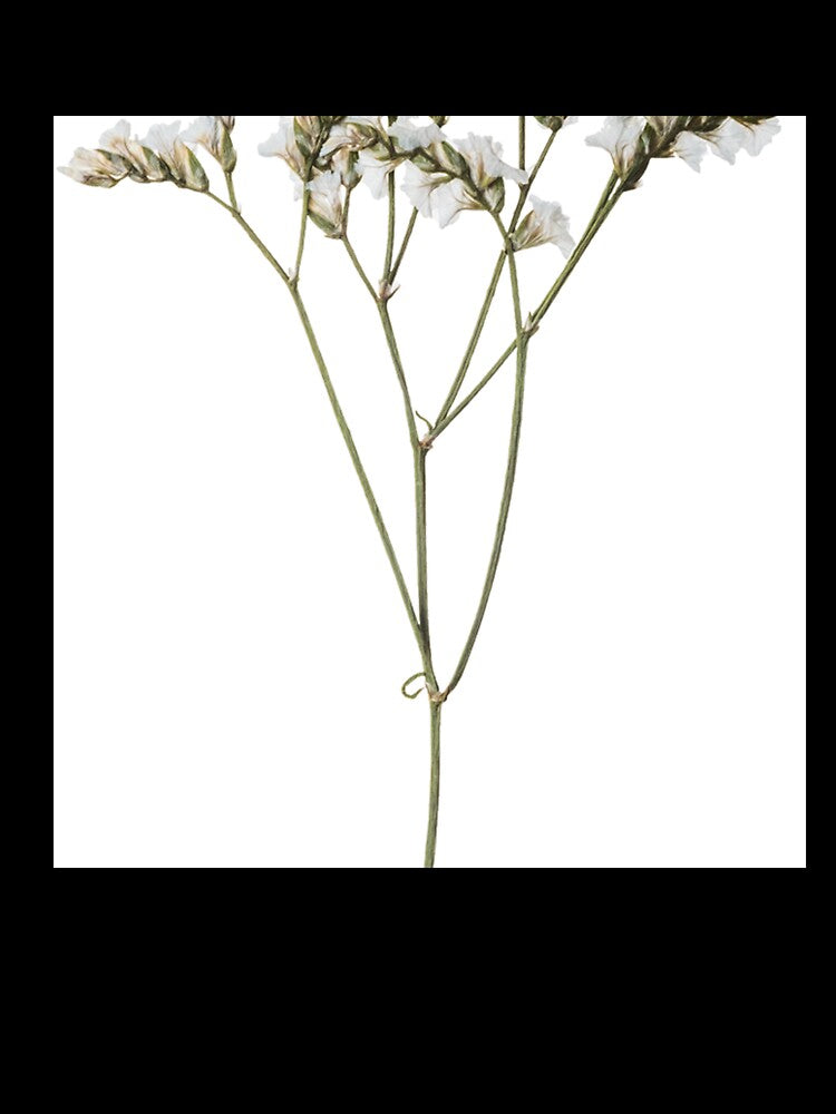 Simple Flower Design by Asherseven