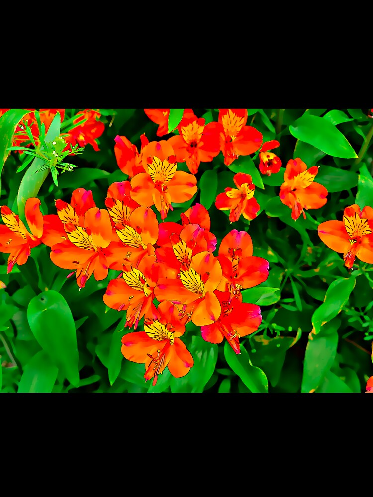 Vibrant Orange flowers summer pattern by santoshputhran