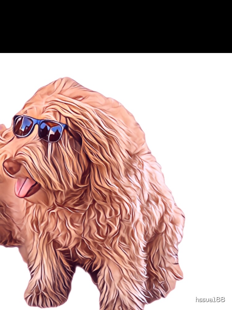 Stylish Dog by hssua188