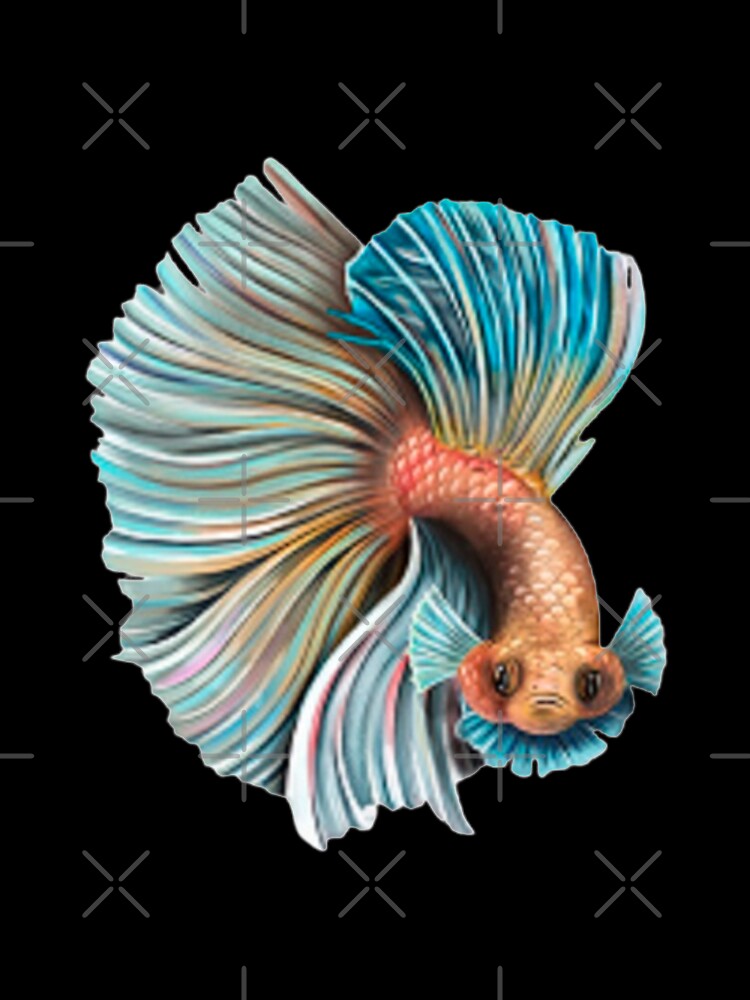 Betta Splendens. Angry Siamese Fighting Fish by IMPHives