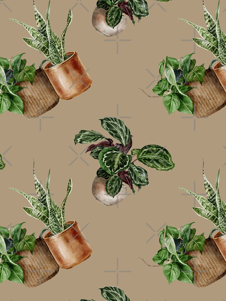 Prayer Plant Snake Plant Houseplant Love Nature Pattern by travellb