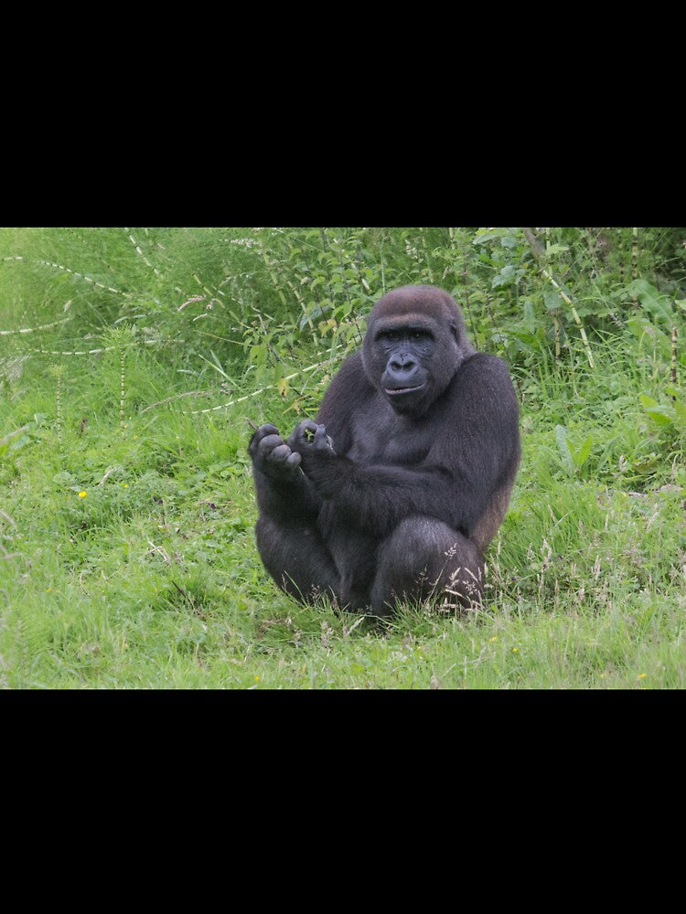 Gorilla by Conservation Art Emporium