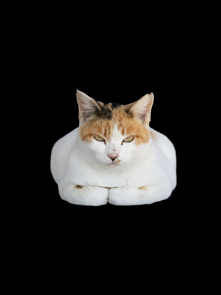 loaf mode cat by Agathepages