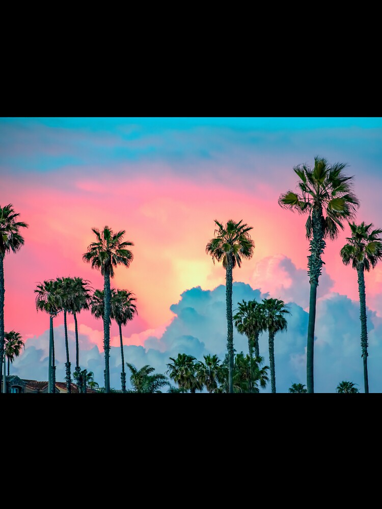 Huntington Beach, California, Cotton Candy Pink Palm Tree Sunset by newburyboutique