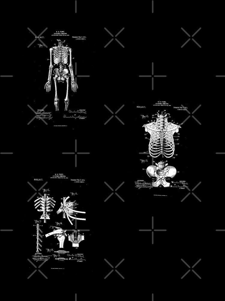 Anatomical Skeleton Patent (1911) by albix81