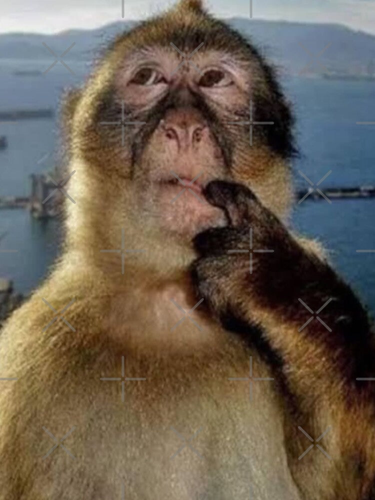 Thinking monkey by wolfdotmpeg