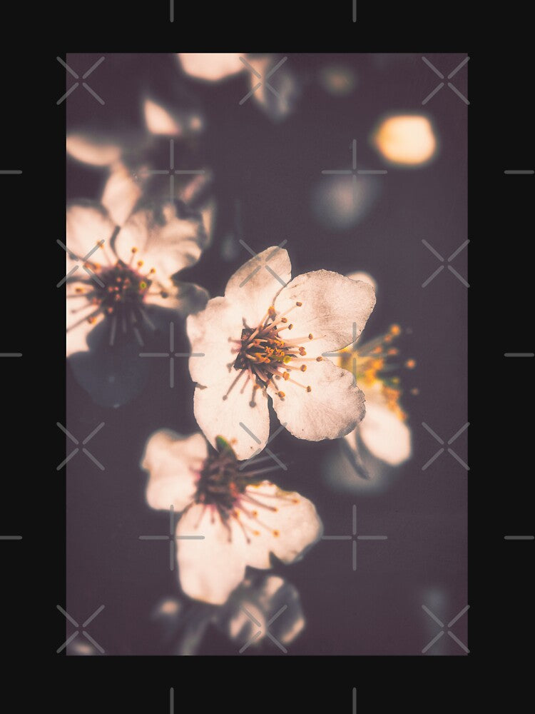 Lo-fi Sakura by ElderIslesPress